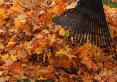 Res_adobestock_71866151