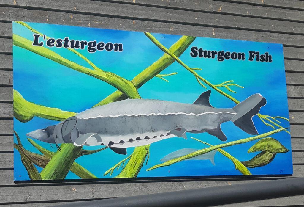 Local Mural: The Sturgeon