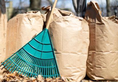 a row of paper leaf composting bags with a leaf rake leaning on them