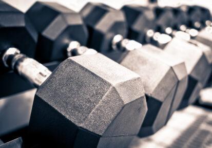 Weights shown on a weight rack