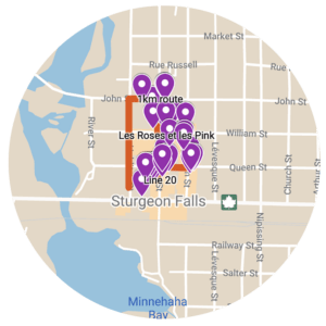 map view of the 1 km route